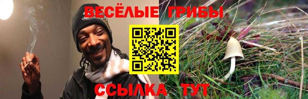 Псилоцибиновые грибы мухоморы Коммунар